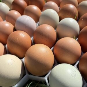 Table eggs